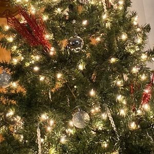 Meet your Posher, Alee